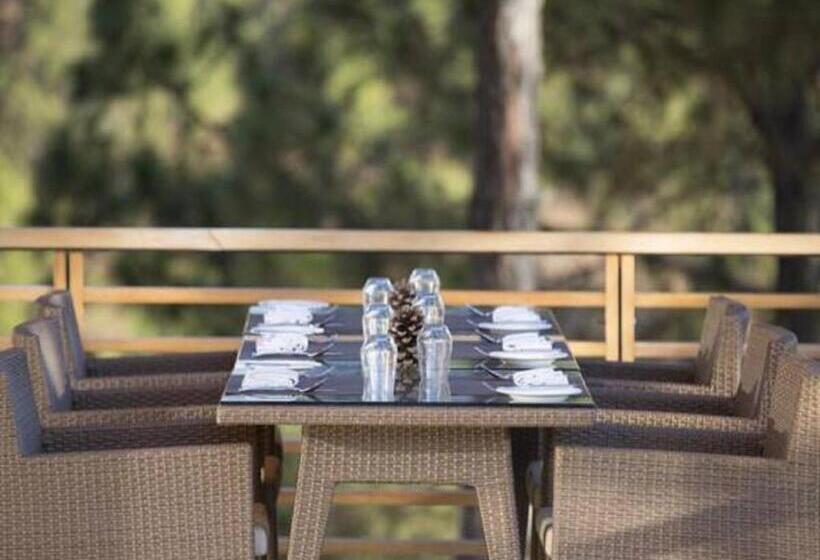 Fotos del hotel Dhensa Boutique Resort:  20