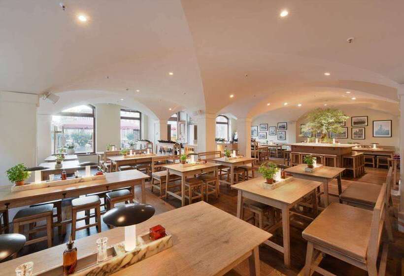 Fotos del hotel Amedia Plaza Dresden:  11