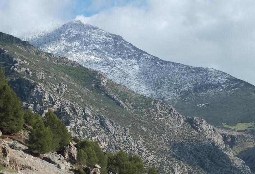 Fotos del hotel Tarek:  9