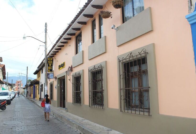 Fotos del hotel San Miguel:  17