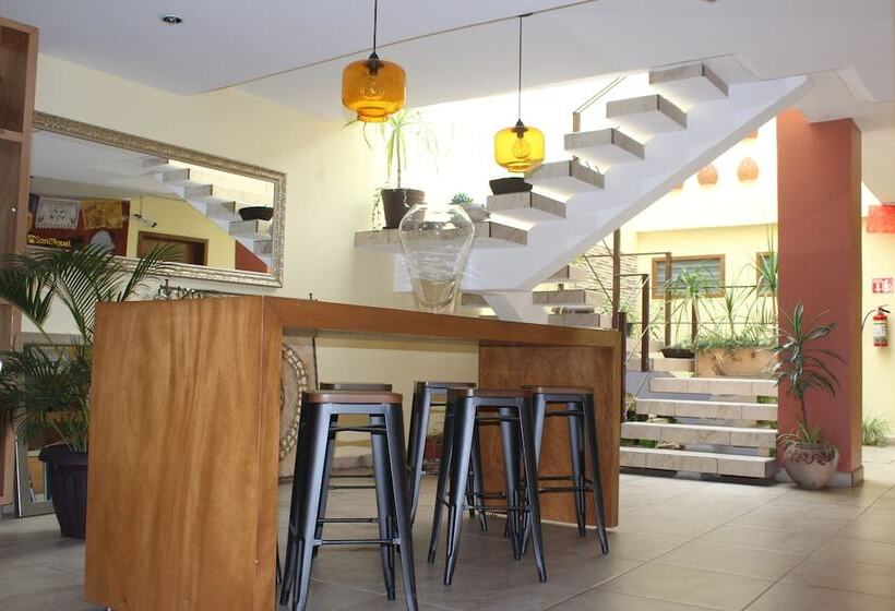 Fotos del hotel San Miguel:  5