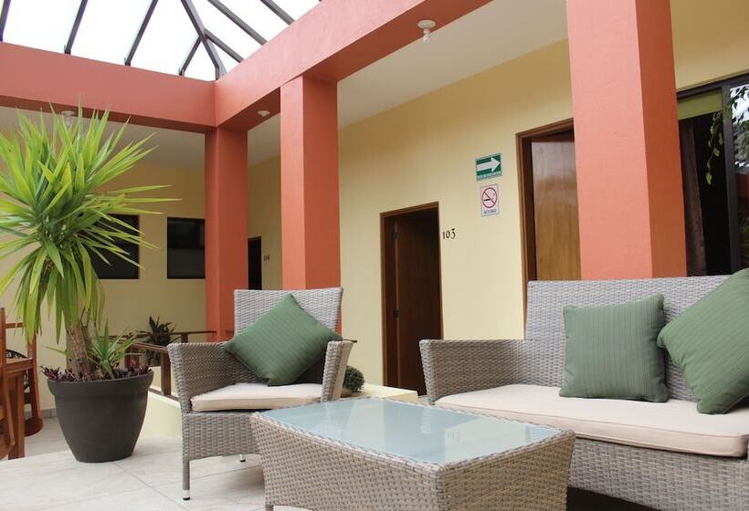 Fotos del hotel San Miguel:  6