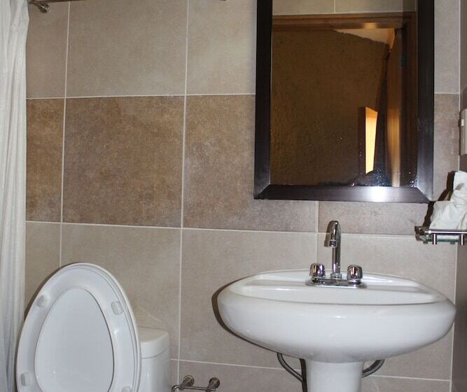 Fotos del hotel San Miguel:  8