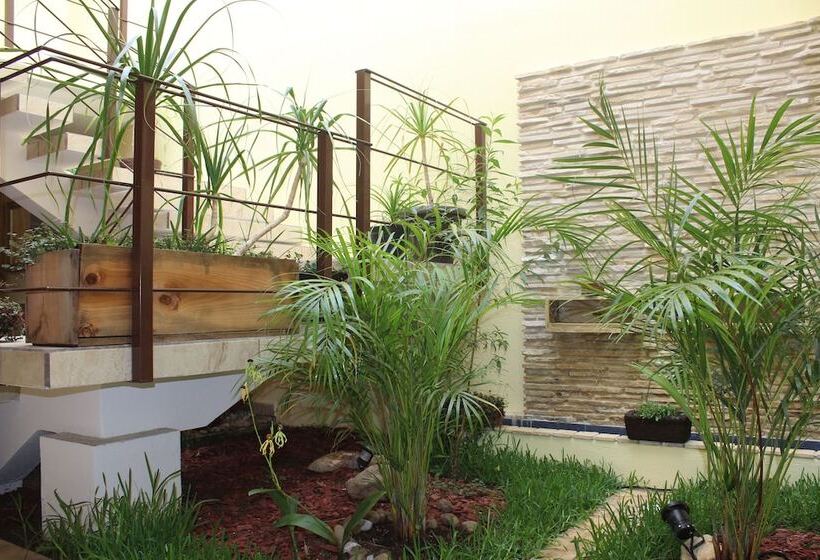 Fotos del hotel San Miguel:  19