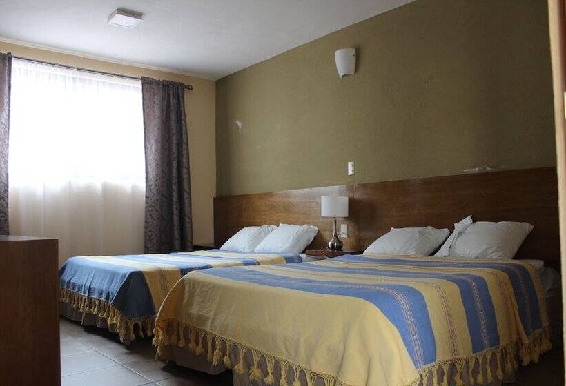 Fotos del hotel San Miguel:  15