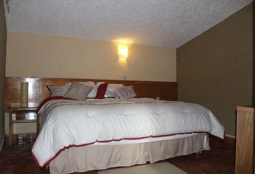 Fotos del hotel San Miguel:  18