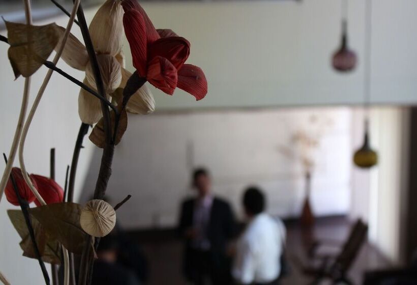 Fotos del hotel Hostal Los Angeles Amigos Inn:  3