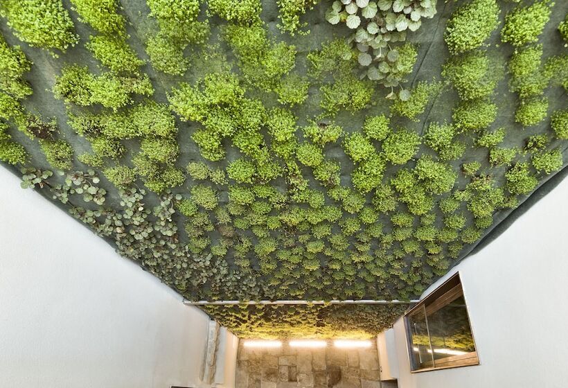 Fotos del hotel Palazzo Calò:  25