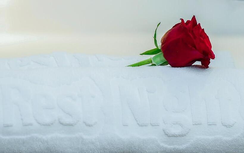 Fotos del hotel Rest Night Hotel Apartment:  8