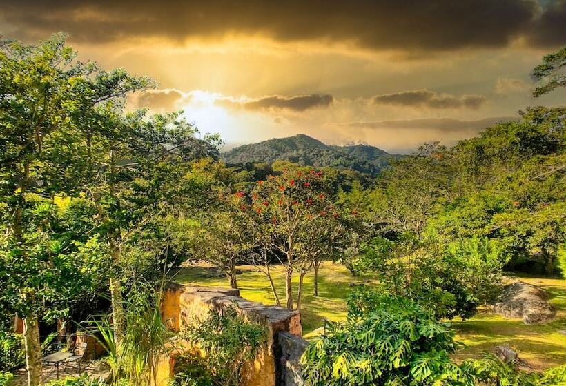 Fotos del hotel Boquete Garden Inn:  4