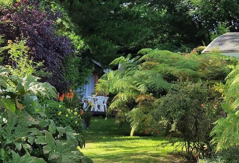 Fotos del hotel Canales Del Sur:  11