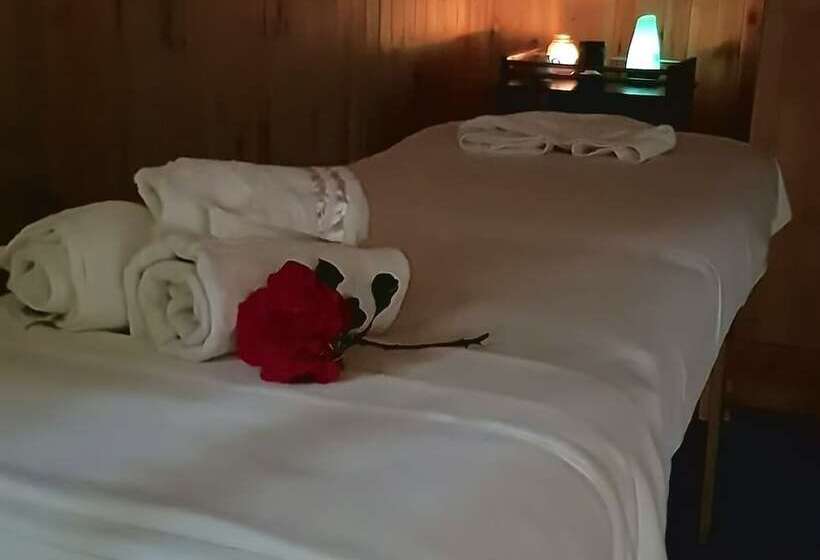 Fotos del hotel Canales Del Sur:  23