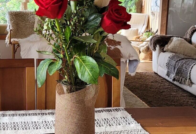 Fotos del hotel Canales Del Sur:  19