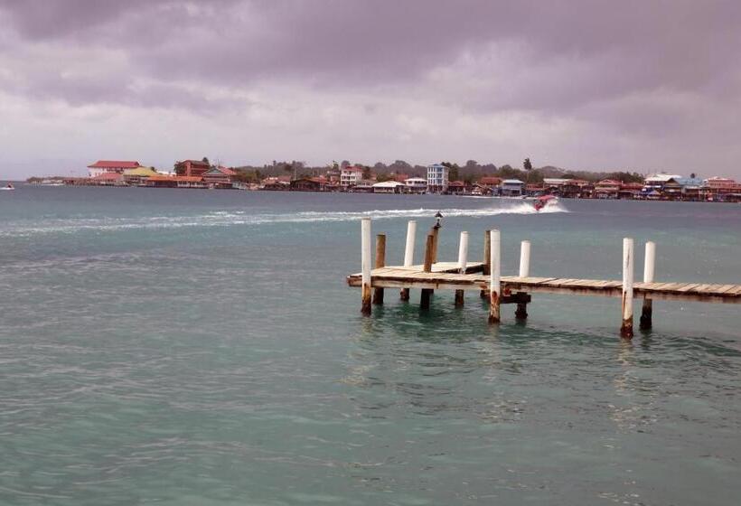 Fotos del hotel Faro Del Colibri:  13