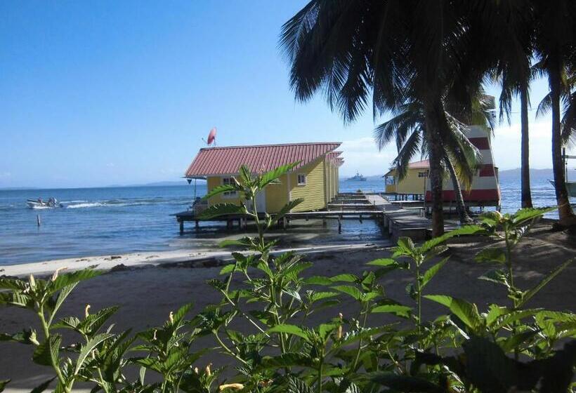 Fotos del hotel Faro Del Colibri:  22