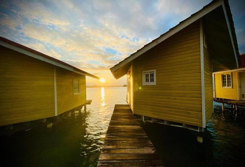 Fotos del hotel Faro Del Colibri:  3