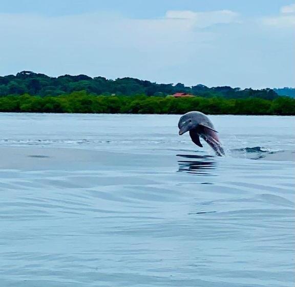 Fotos del hotel Faro Del Colibri:  20