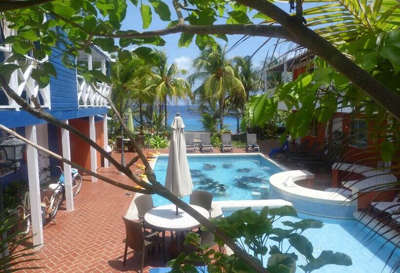 Fotos del hotel Sunset:  19