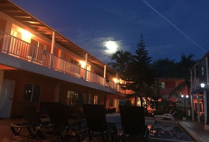 Fotos del hotel Sunset:  12