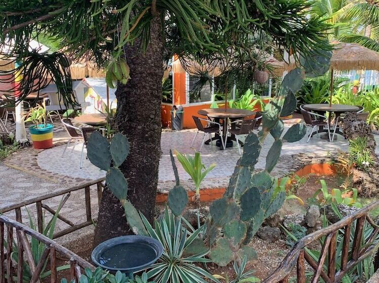 Fotos del hotel Sunset:  6