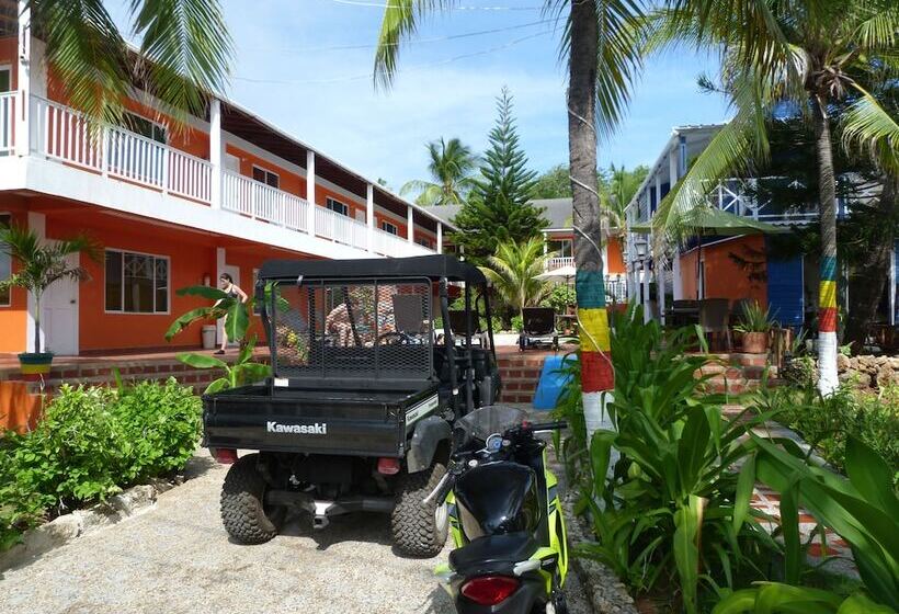 Fotos del hotel Sunset:  11