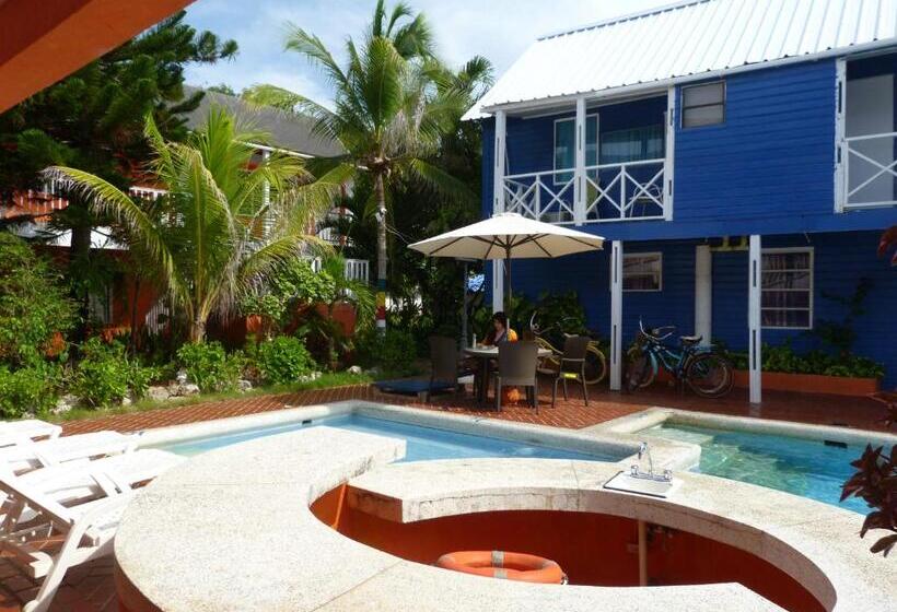 Fotos del hotel Sunset:  21