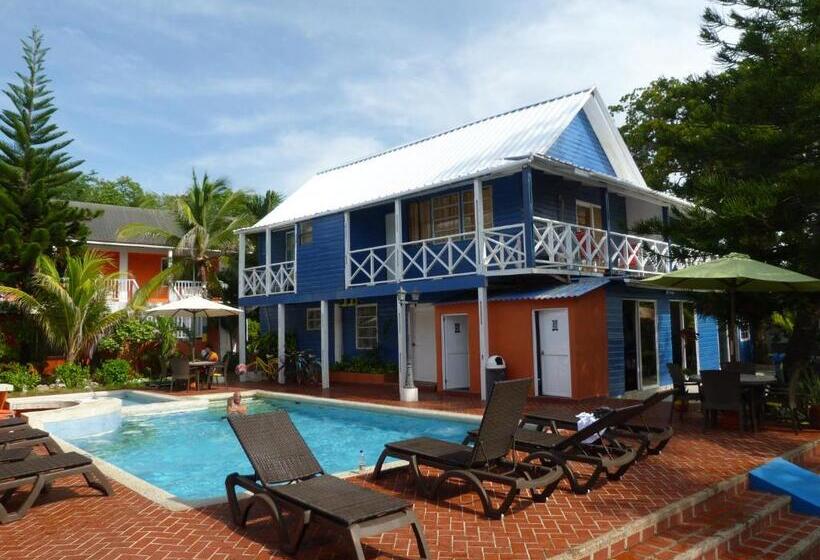 Fotos del hotel Sunset:  14