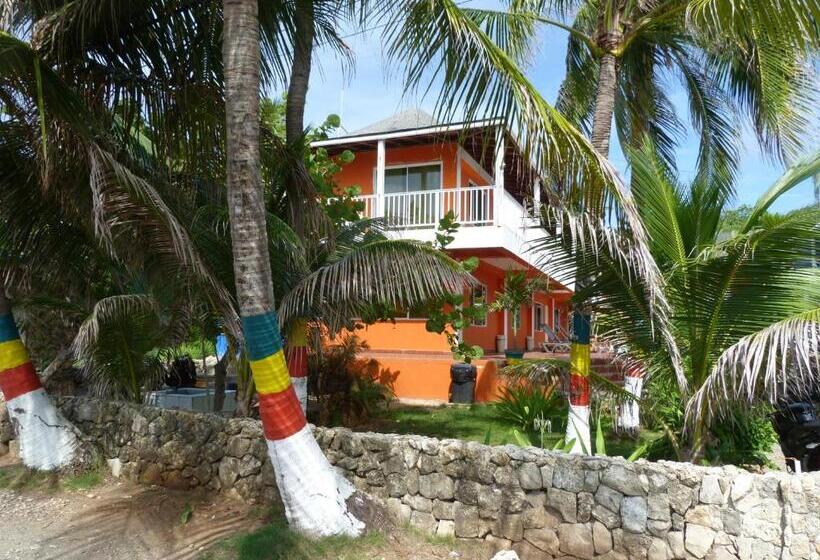 Fotos del hotel Sunset:  22