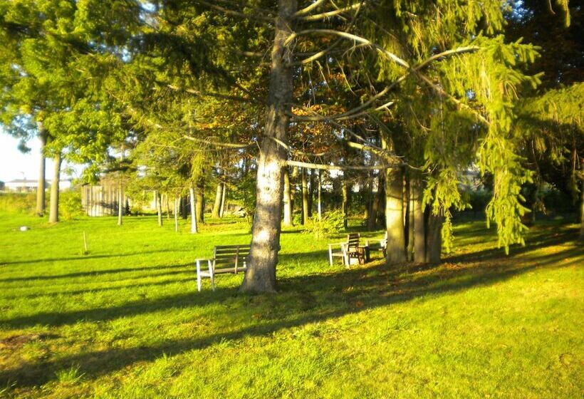 Fotos del hotel Vineyard Villa:  3