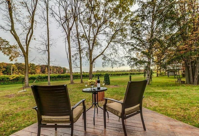 Fotos del hotel Vineyard Villa:  18