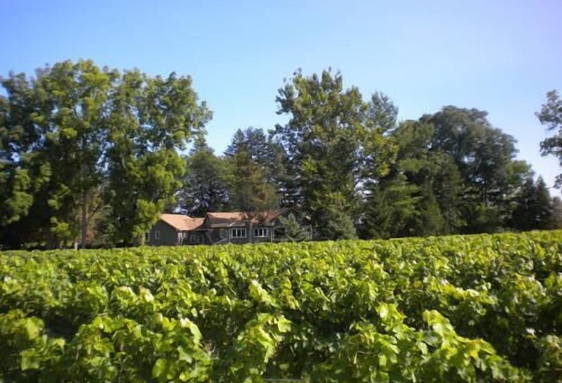 Fotos del hotel Vineyard Villa:  25