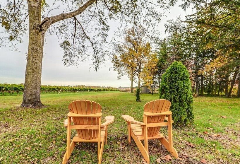 Fotos del hotel Vineyard Villa:  8