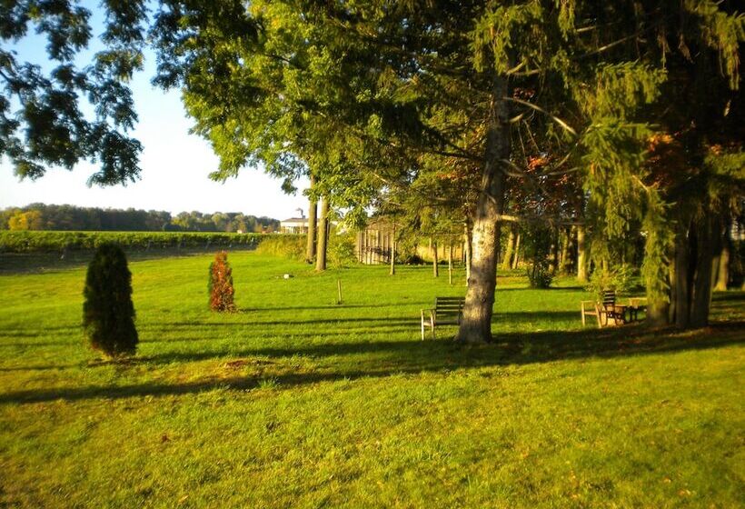 Fotos del hotel Vineyard Villa:  22