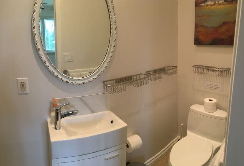 Fotos del hotel Vineyard Villa:  7