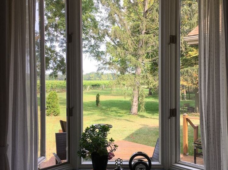 Fotos del hotel Vineyard Villa:  10