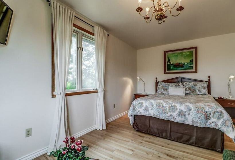 Fotos del hotel Vineyard Villa:  15