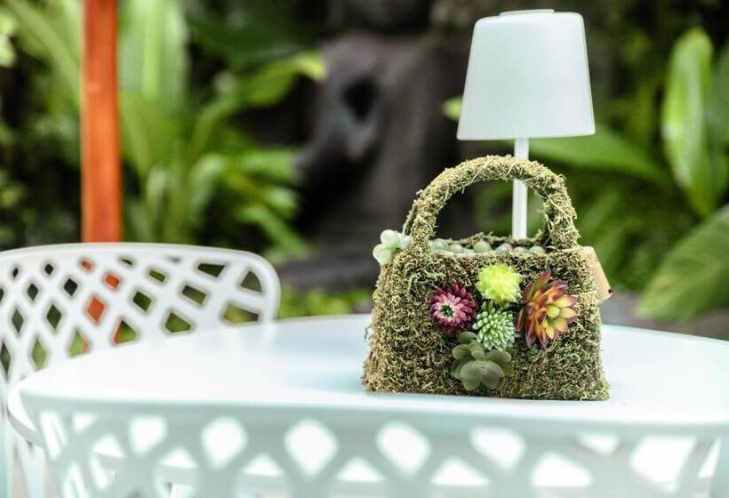 Fotos del hotel Casa Diluca Cartagena:  8