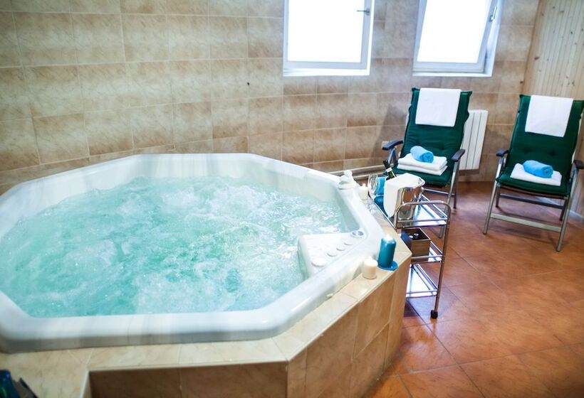 Fotos del hotel Villa Ostrava 3+:  24