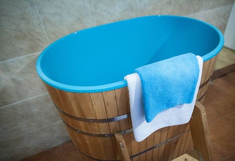 Fotos del hotel Villa Ostrava 3+:  20