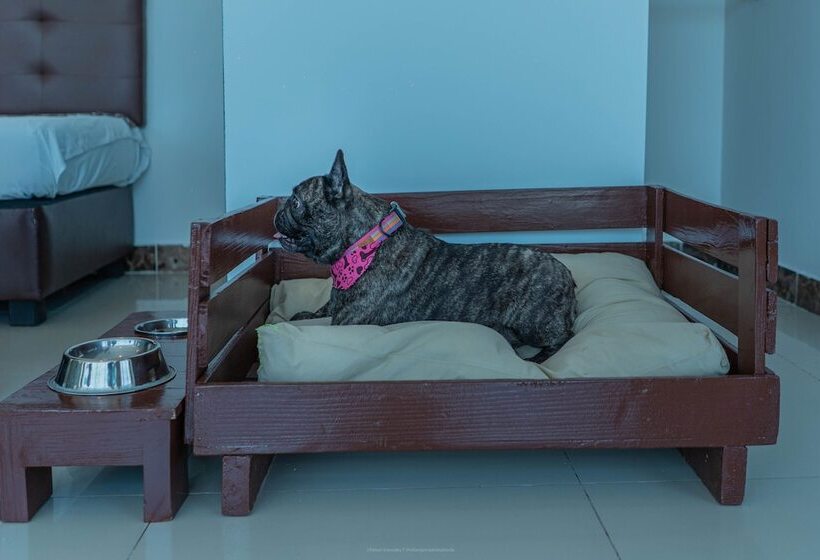 Fotos del hotel La Gran Via:  25