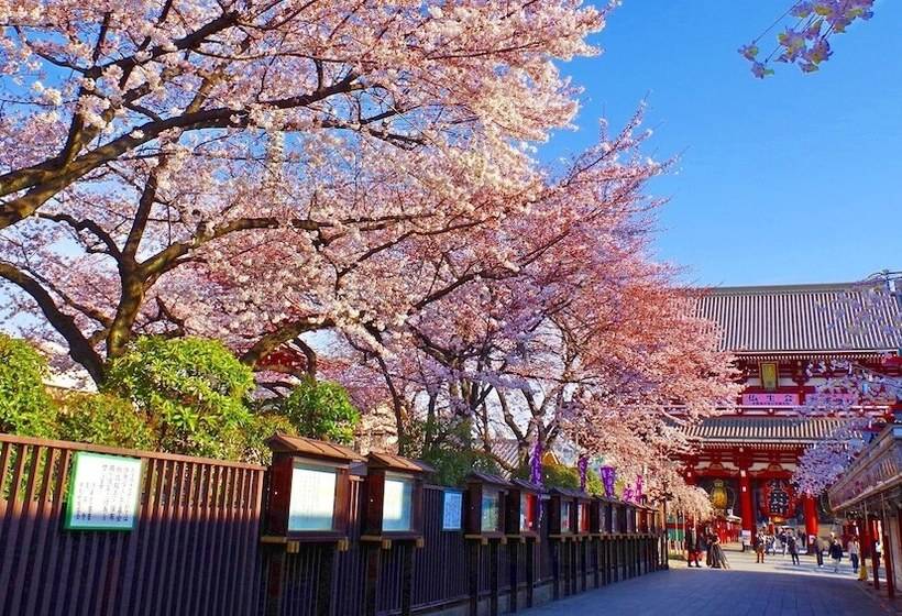 Fotos del hotel Apa  Tkp Nippori Ekimae:  12