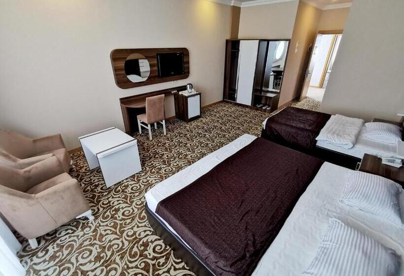 Fotos del hotel Grand Georgian Palace:  22