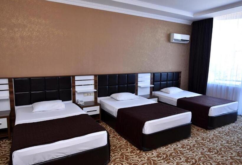 Fotos del hotel Grand Georgian Palace:  19