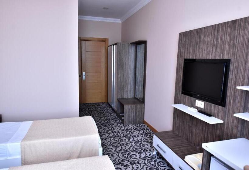 Fotos del hotel Grand Georgian Palace:  23