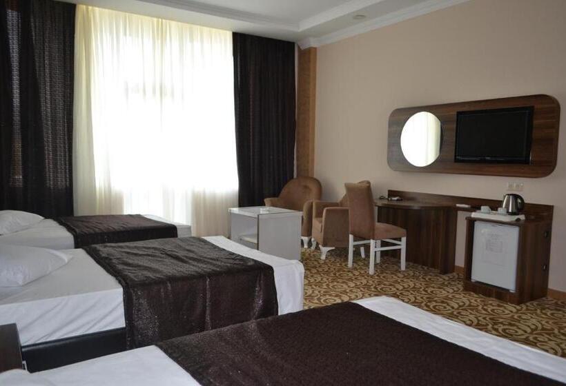 Fotos del hotel Grand Georgian Palace:  3