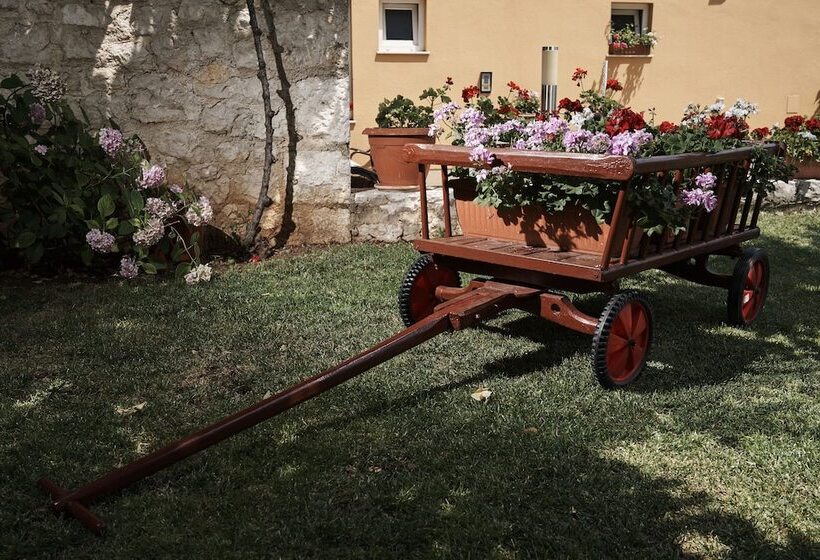 Fotos del hotel Pansion Rose:  14