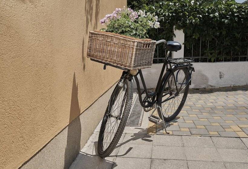 Fotos del hotel Pansion Rose:  10