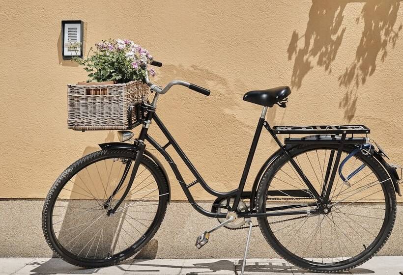 Fotos del hotel Pansion Rose:  5