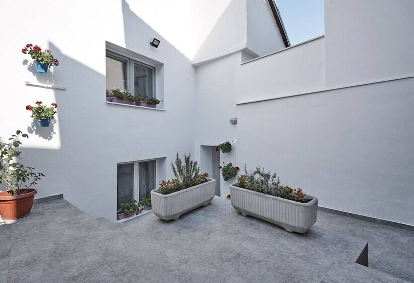 Fotos del hotel Pansion Rose:  12