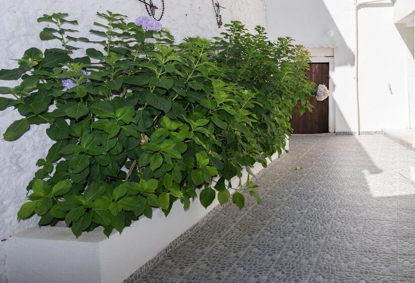 Fotos del hotel Pansion Rose:  13